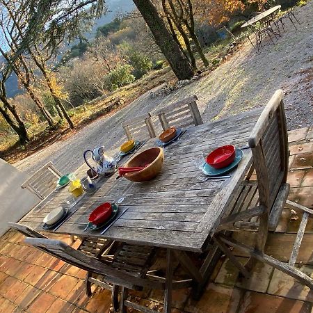 Plan d'Aups La Maison De Mado Et Sa Cabane Dans Les Arbres מראה חיצוני תמונה