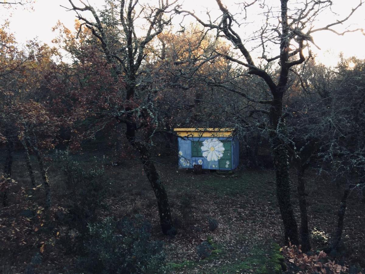 Plan d'Aups La Maison De Mado Et Sa Cabane Dans Les Arbres מראה חיצוני תמונה