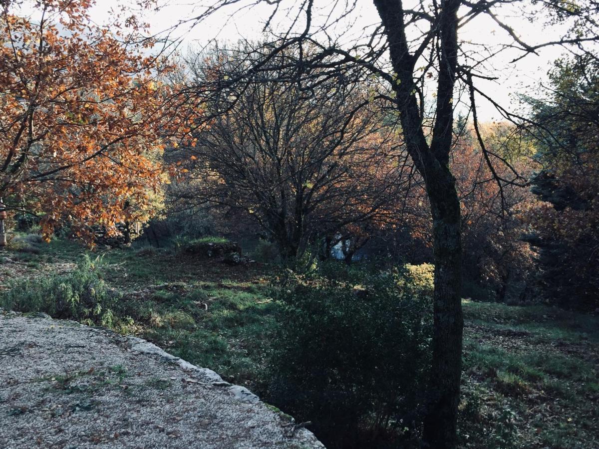 Plan d'Aups La Maison De Mado Et Sa Cabane Dans Les Arbres מראה חיצוני תמונה